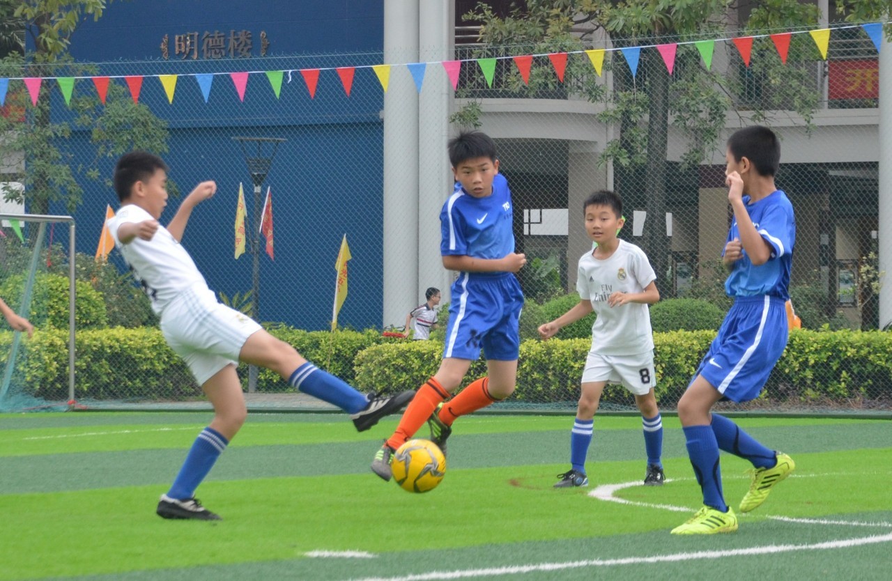 则是世界羽 则是世界羽